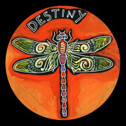 life circle : dragonfly 1 - destiny